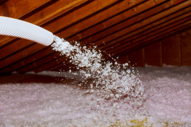 Best Spray Foam Insulation in Adel, GA