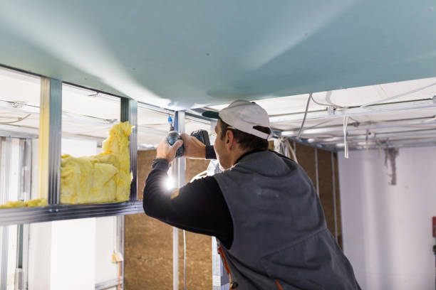Best Insulation Maintenance and Repair in Adel, GA