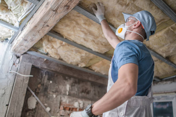 Types of Insulation We Offer in Adel, GA