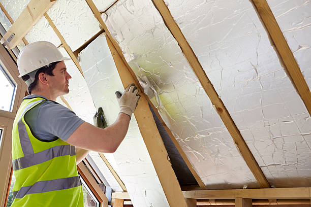 Best Cellulose Insulation in Adel, GA