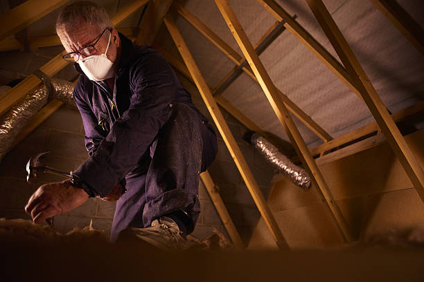 Best DIY Insulation Kits and Guidance in Adel, GA