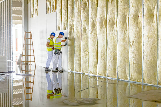 Professional Insulation Contractor in Adel, GA